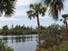 https://verobeach.imgix.net/business/6-A view from the Jungle Trail of the lagoon-900-675_thumbnail.jpg?fit=crop&w=900&h=675&auto=format&q=40